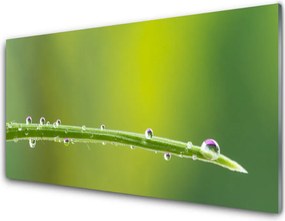 Panel Szklany Diament Porannej Rosy