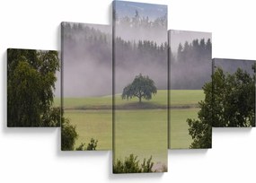 Obraz łąki z drzewem (125x70 cm)