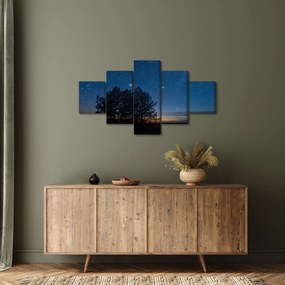 Obraz drzew w nocy (125x70 cm)
