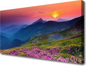 Obraz canvas na ścianę Alpejska Polana Kwiatowa