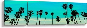 Obraz - Kalifornia (170x50 cm)