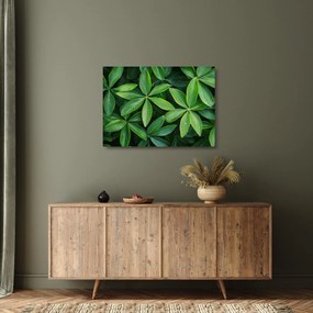 Obraz na szkle - Liście z kroplami rosy (70x50 cm)