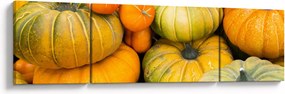 Obraz - Jesienna dynia (170x50 cm)