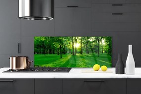 Szkło do Kuchni na Ścianę Parkowe Alejki W Słońcu