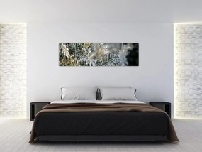Obraz - Detal gałęzi (170x50 cm)