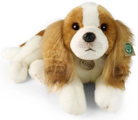 Rappa Pluszowy pies Cavalier King Charles Spaniel 40 cm ECO - PRZYJAZNY