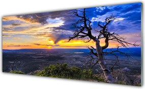 Panel Szklany do Kuchni Sylwetka Drzewa o Zachodzie