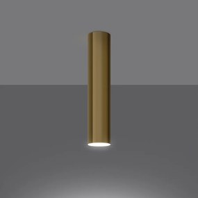 Plafony nowoczesny Toris, stal - 1 źródło światła 3000K - L.6 x H.30 cm - złoty połysk