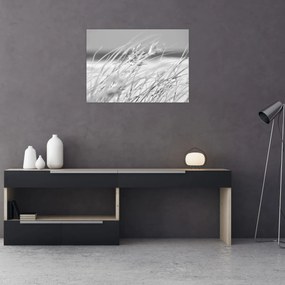 Obraz - Trawa plażowa (70x50 cm)
