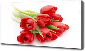 Foto obraz na płótnie Czerwone tulipany