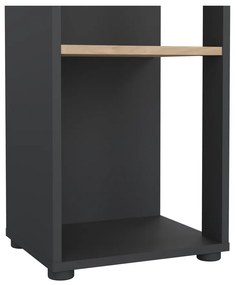 Antracytowo-naturalny regał w dekorze dębu 41x205 cm Sign – Tvilum