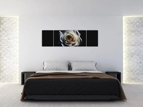 Obraz białej róży (170x50 cm)
