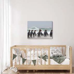 Obraz pingwinów nad oceanem (70x50 cm)