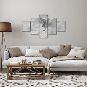 Obraz - Sowa, czarno - biały (125x70 cm)