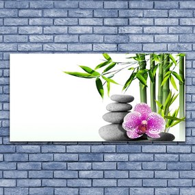 Obraz Akrylowy Bambus Spa Zen Sztuka