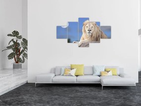 Obraz - Biały lew (125x70 cm)