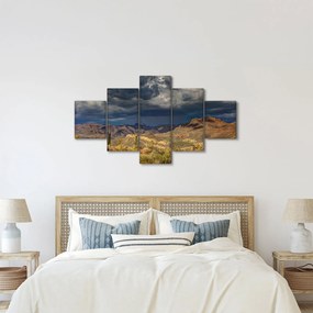 Obraz - kaktusy w przyrodzie (125x70 cm)