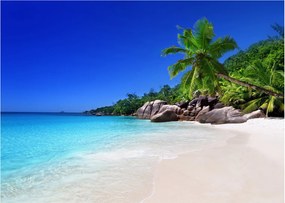 Obraz plaży na wyspie Praslin (70x50 cm)
