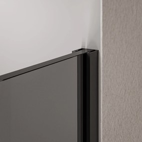 Ścianka prysznicowa Walk-In EX102 - bezpieczne szkło szare 10 mm