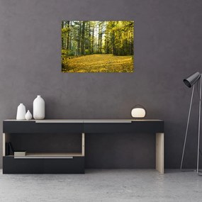 Obraz - las jesienią (70x50 cm)