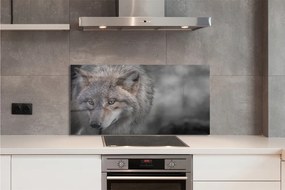 Panel Szklany Portret Dzikiego Drapieżnika