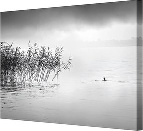 Obraz na płótnie By the Lake II