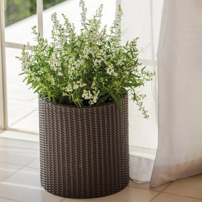 Keter donica Cylinder L 39 l, brązowy