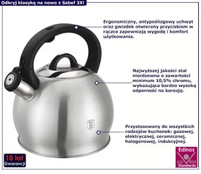 Srebrny tradycyjny czajnik z gwizdkiem 3L - Sabef 3X