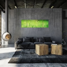 Obraz - rosa na trawie (170x50 cm)