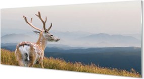 Panel nad Blat Kuchenny Jeleń na tle Górskich Szczytów