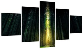Obraz ciemnego lasu (125x70 cm)