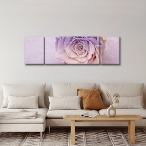 Obraz szczegółu kwiatu róży (170x50 cm)