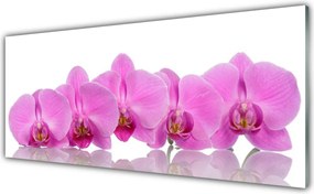 Panel Szklany do Kuchni Różowa Orchidea w Zbliżeniu