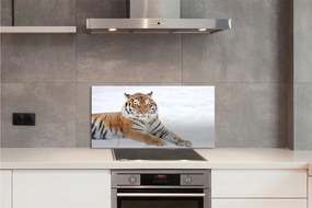 Panel szklany do Kuchni Tygrys Syberyjski w Śniegu