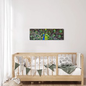 Obraz - Paw (z zegarem) (90x30 cm)