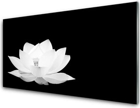 Szkło do Kuchni na Ścianę Naturalne Piękno Kwiatu