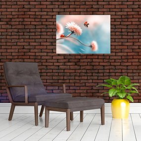 Obraz na szkle - Biedronka na kwiatku (70x50 cm)