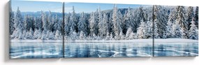 Obraz zamarzniętego jeziora i pokrytych śniegiem drzew (170x50 cm)