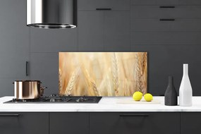 Szkło do Kuchni na Ścianę Łany Złotej Pszenicy