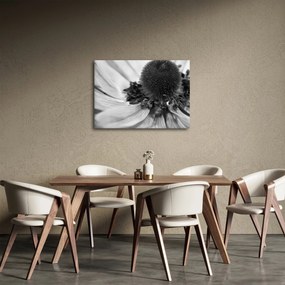Obraz - Kwiat w czerni i bieli (70x50 cm)