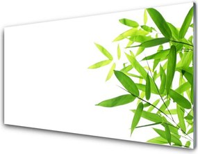 Panel Kuchenny Tekstura Zielonego Liścia