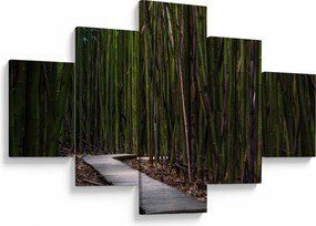 Obraz - Wśród bambusów (125x70 cm)