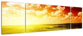 Obraz łąki ze świecącym słońcem (170x50 cm)