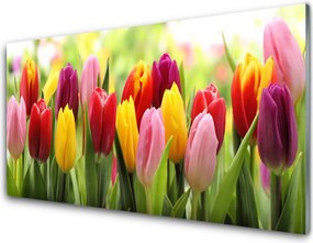 Panel Szklany Pastelowy Bukiet Tulipanów