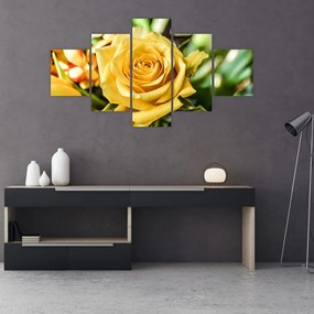 Obraz róży (125x70 cm)