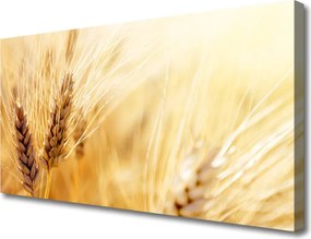 Zdjęcie na płótnie Złociste Łany Pszenicy