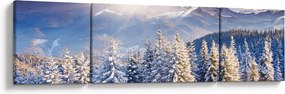 Obraz - Krajobraz górski zimą (170x50 cm)