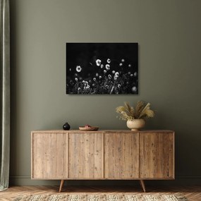 Obraz na szkle - Łąka z trawą bawełnianą N⁰1 (70x50 cm)