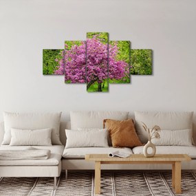 Obraz kwitnącego drzewa na łące (125x70 cm)