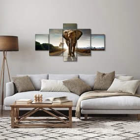 Obraz słonia (125x70 cm)